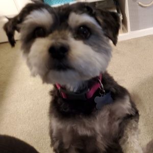 Meet your Posher, Deanna